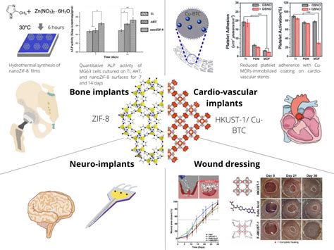 Wool-Like Polymeric Biomaterial: Revolutionizing Tissue Engineering and Regenerative Medicine?